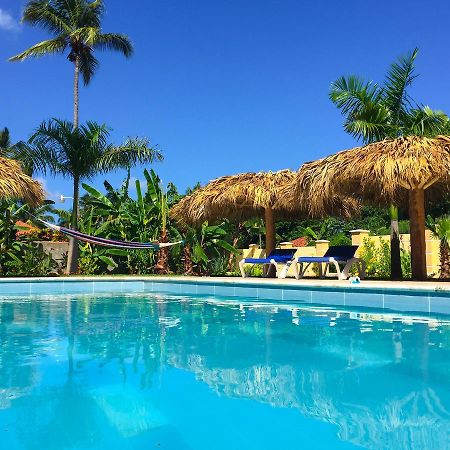Las Galeras Hotel Dış mekan fotoğraf